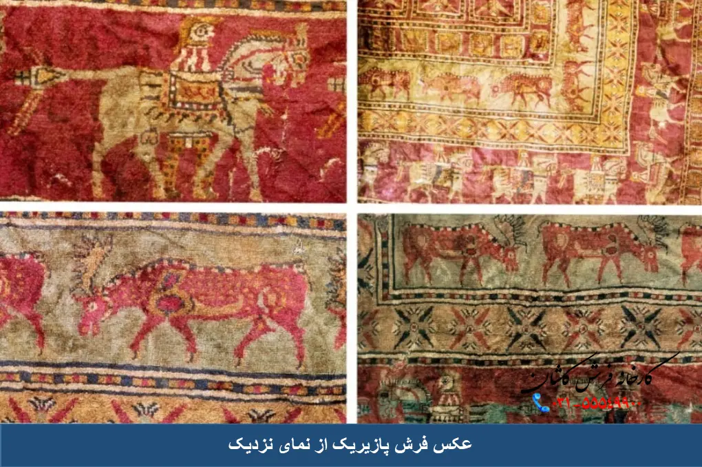عکس فرش پازیریک
