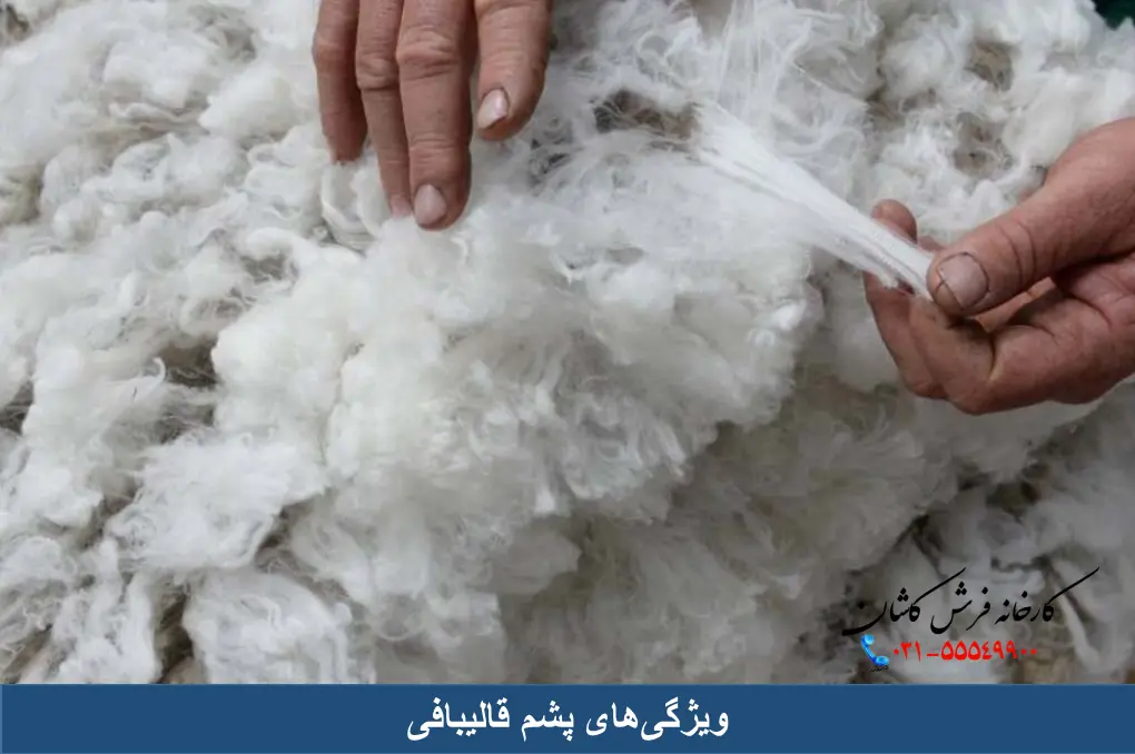 ویژگی های پشم قالیبافی