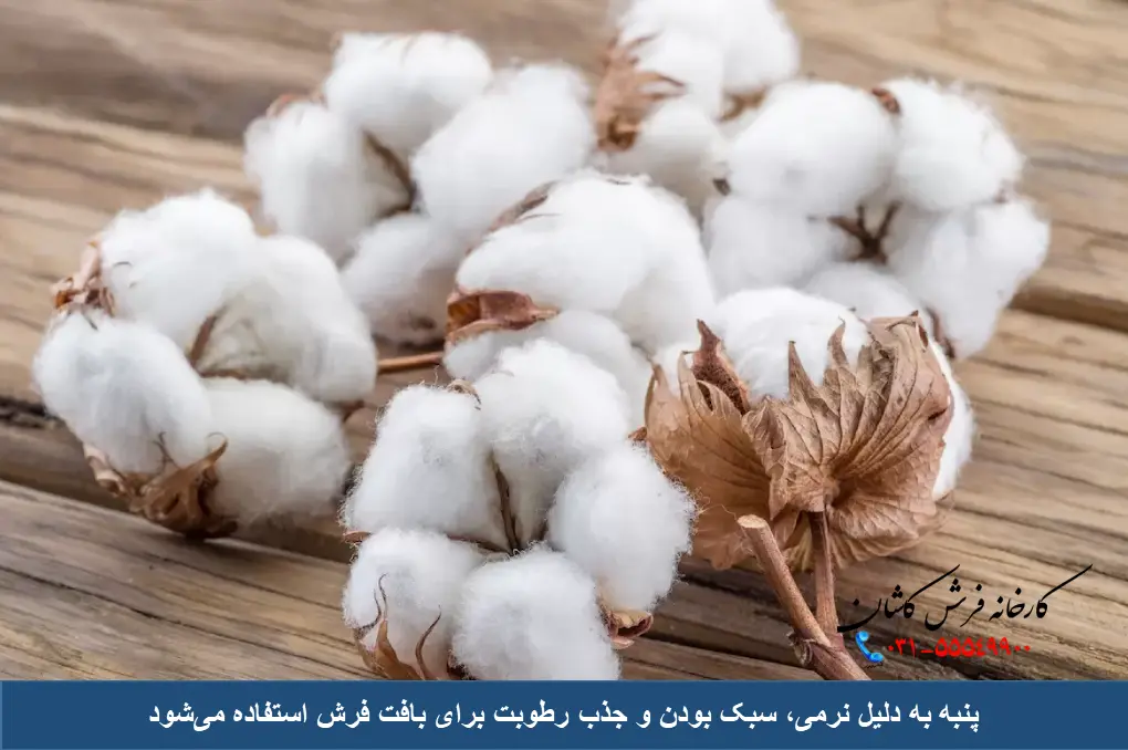 پنبه در فرش