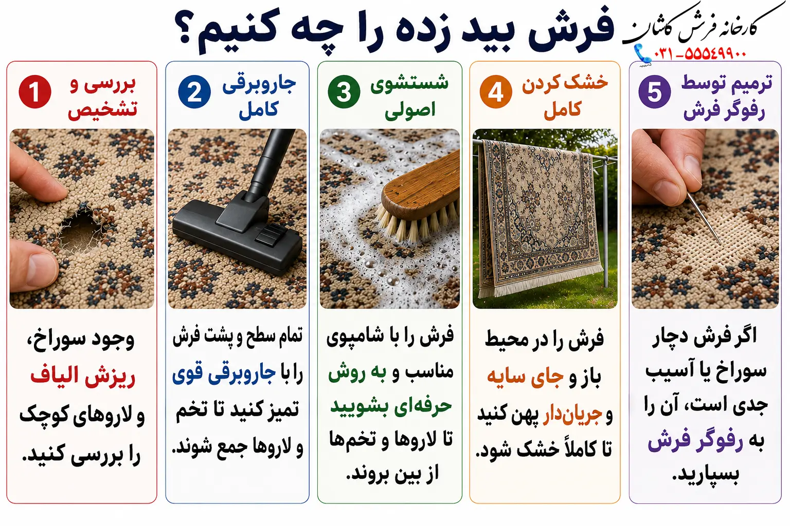 فرش بید زده را چه کنیم