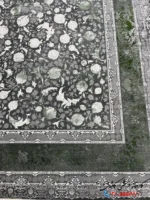 فرش طرح بهار دلفینی 1200شانه حاشیه سبز کاشان