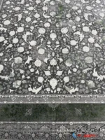 فرش طرح بهار دلفینی 1200شانه سبز