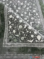 فرش طرح بهار دلفینی 1200شانه سبز کاشان