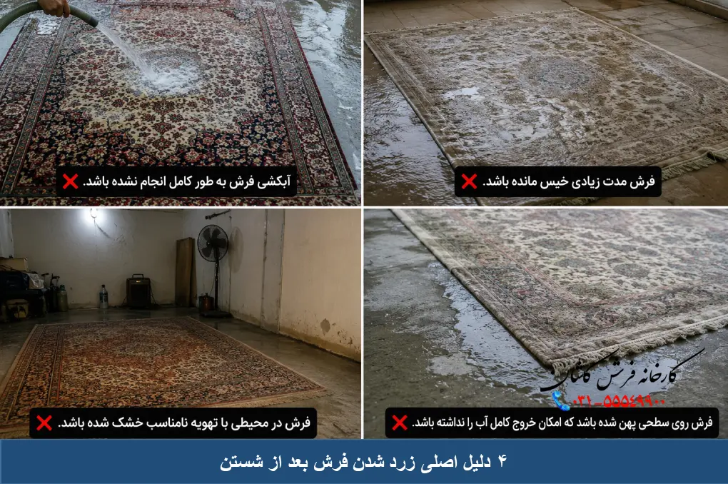 دلایل اصلی زرد شدن فرش بعد از شستن